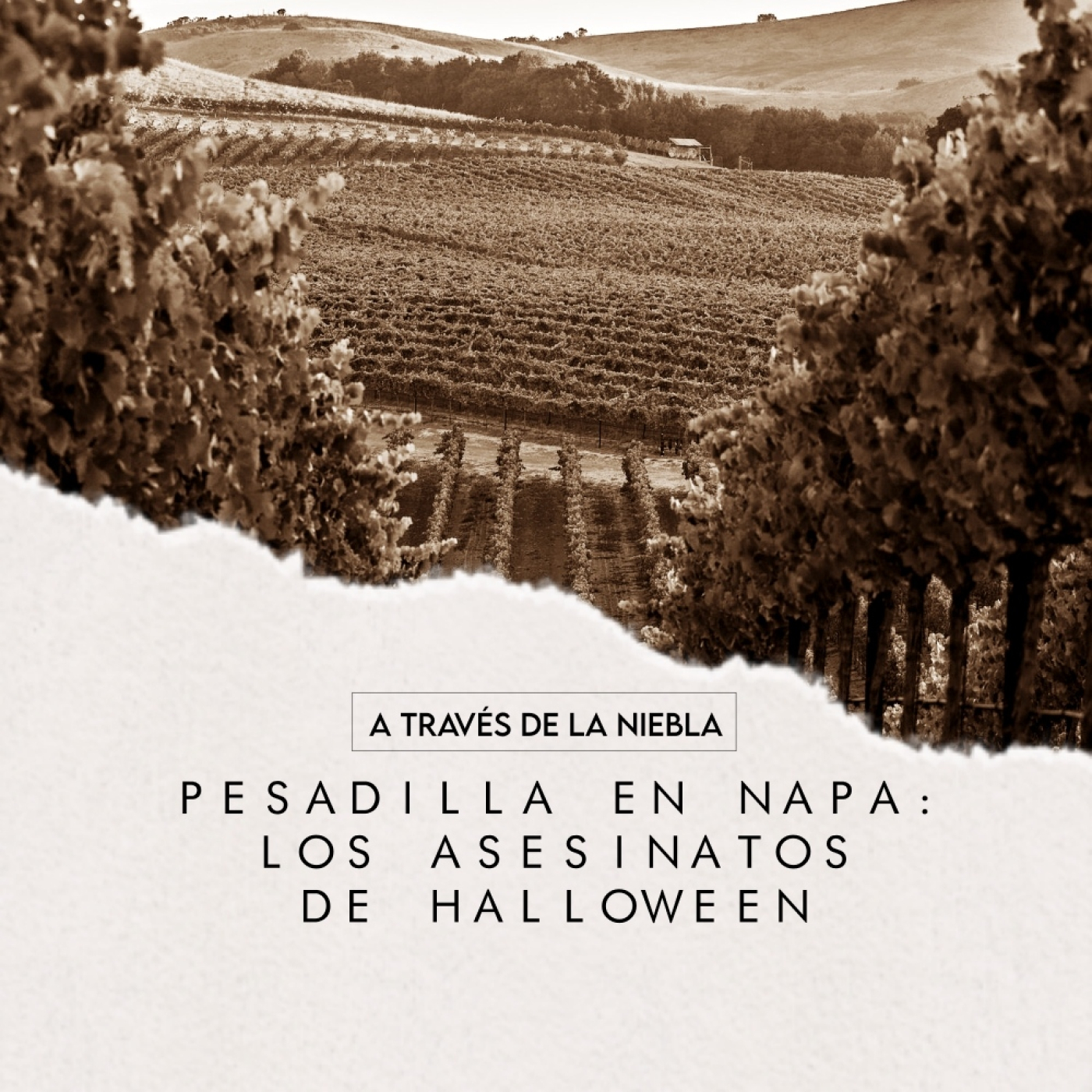 A Través de la Niebla