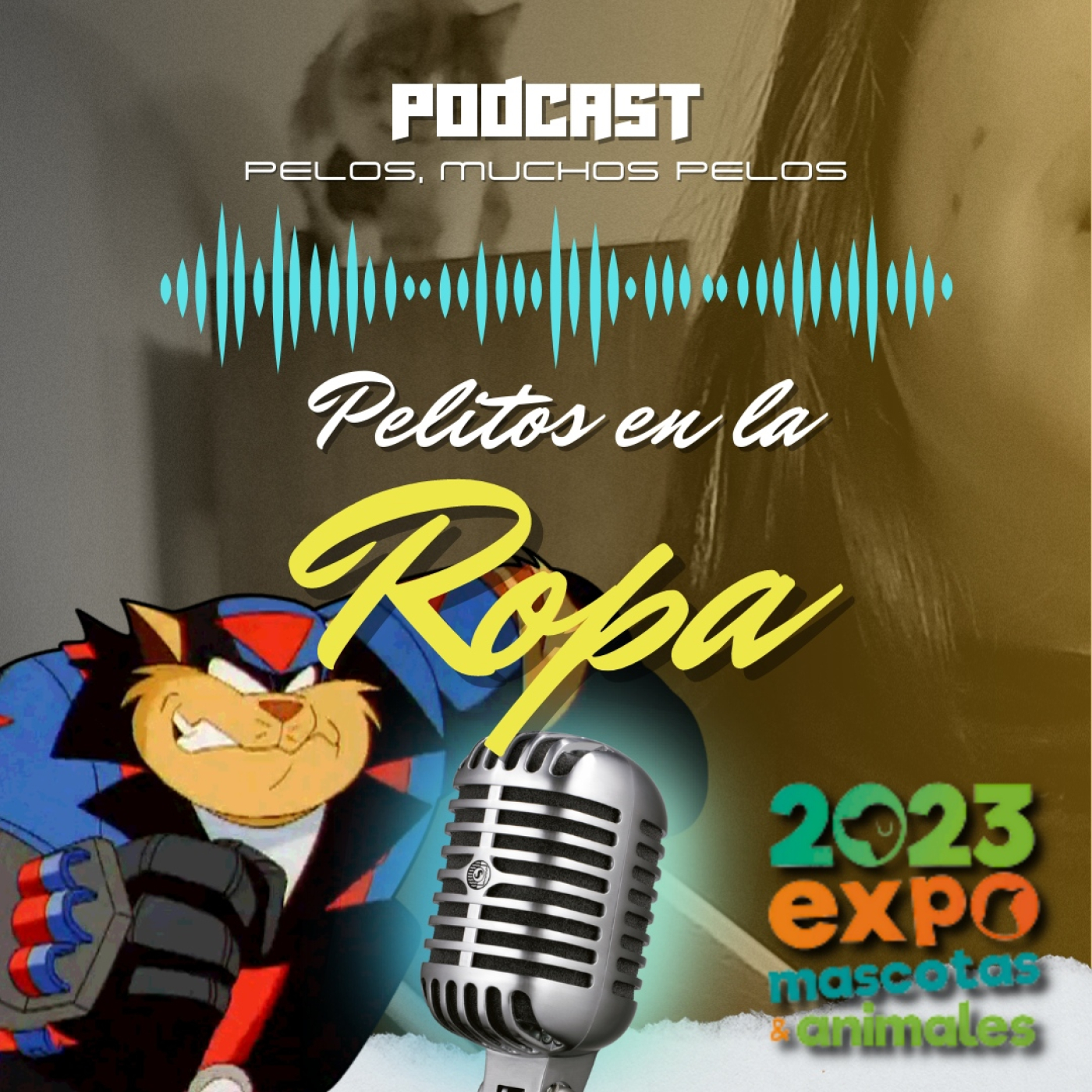 PELR: Pelitos en la Ropa