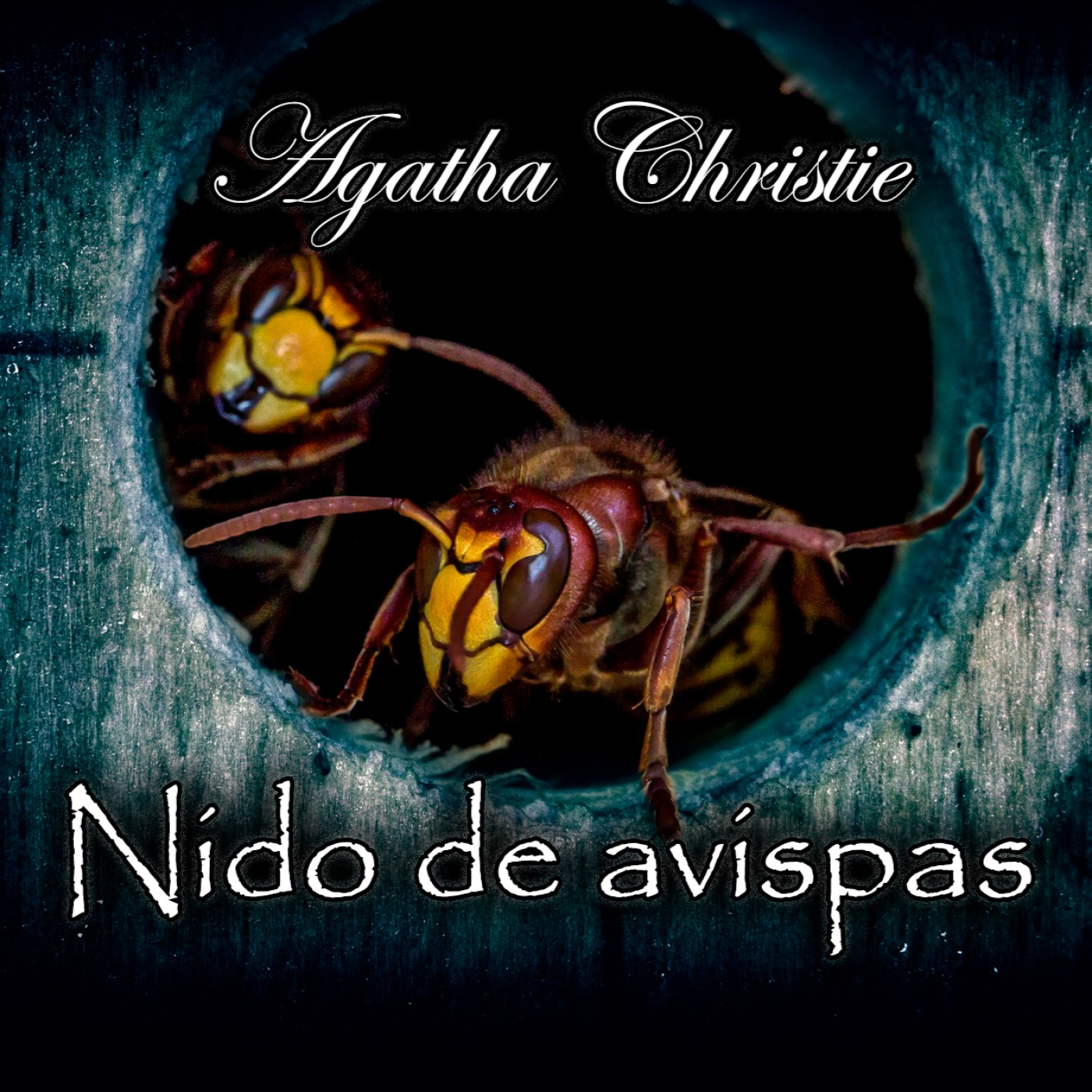 El Desván de los Cuentos Perdidos - Audiolibros