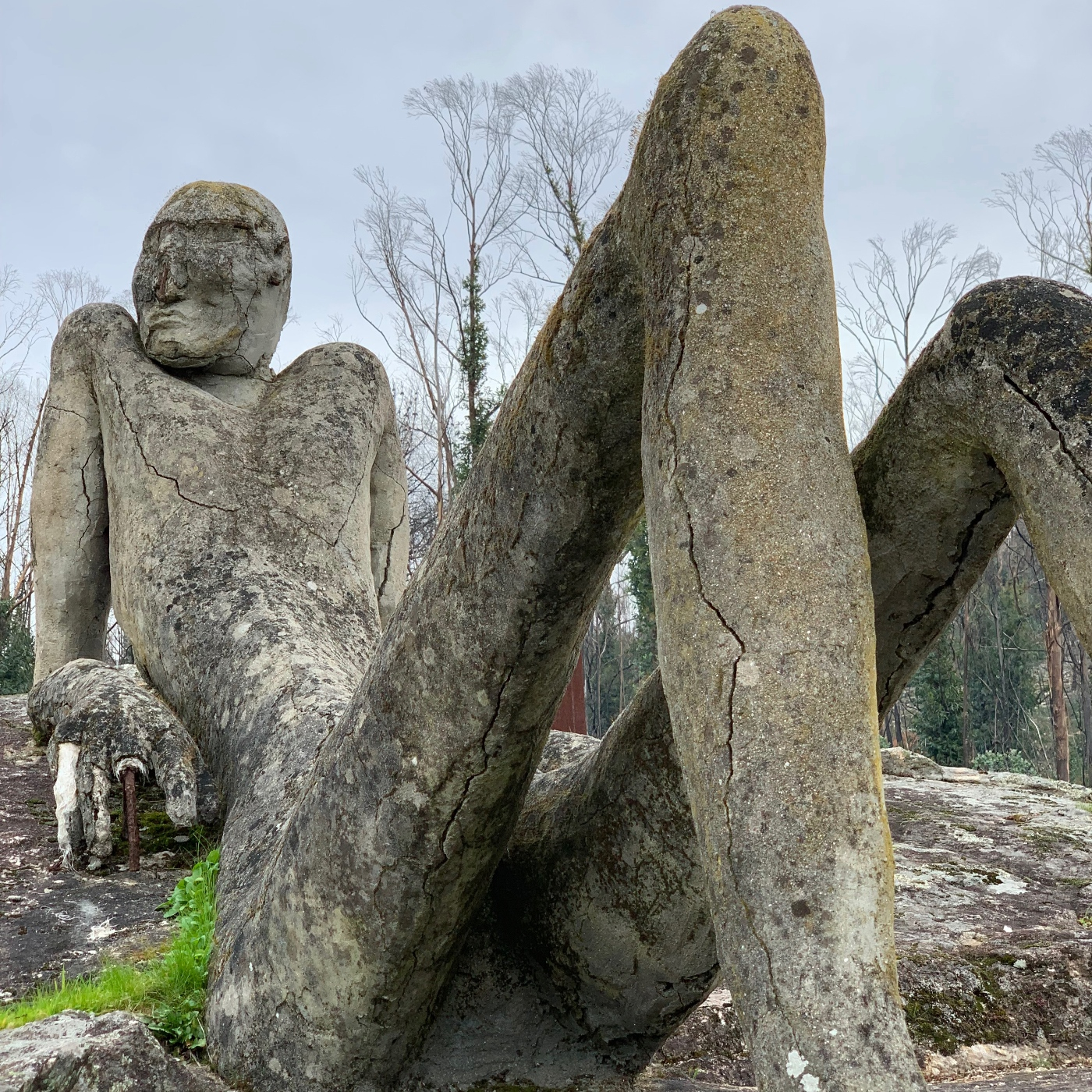 Os cantos do vagalume