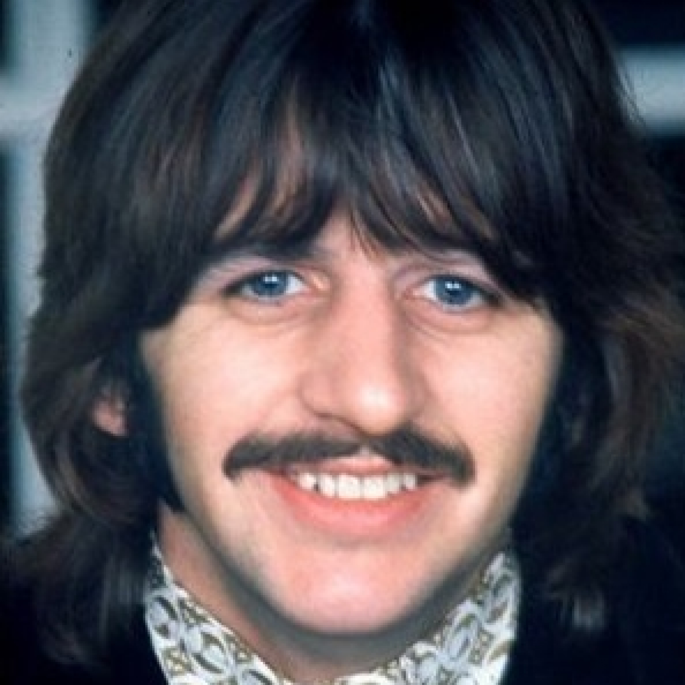 Proyecto Beatle