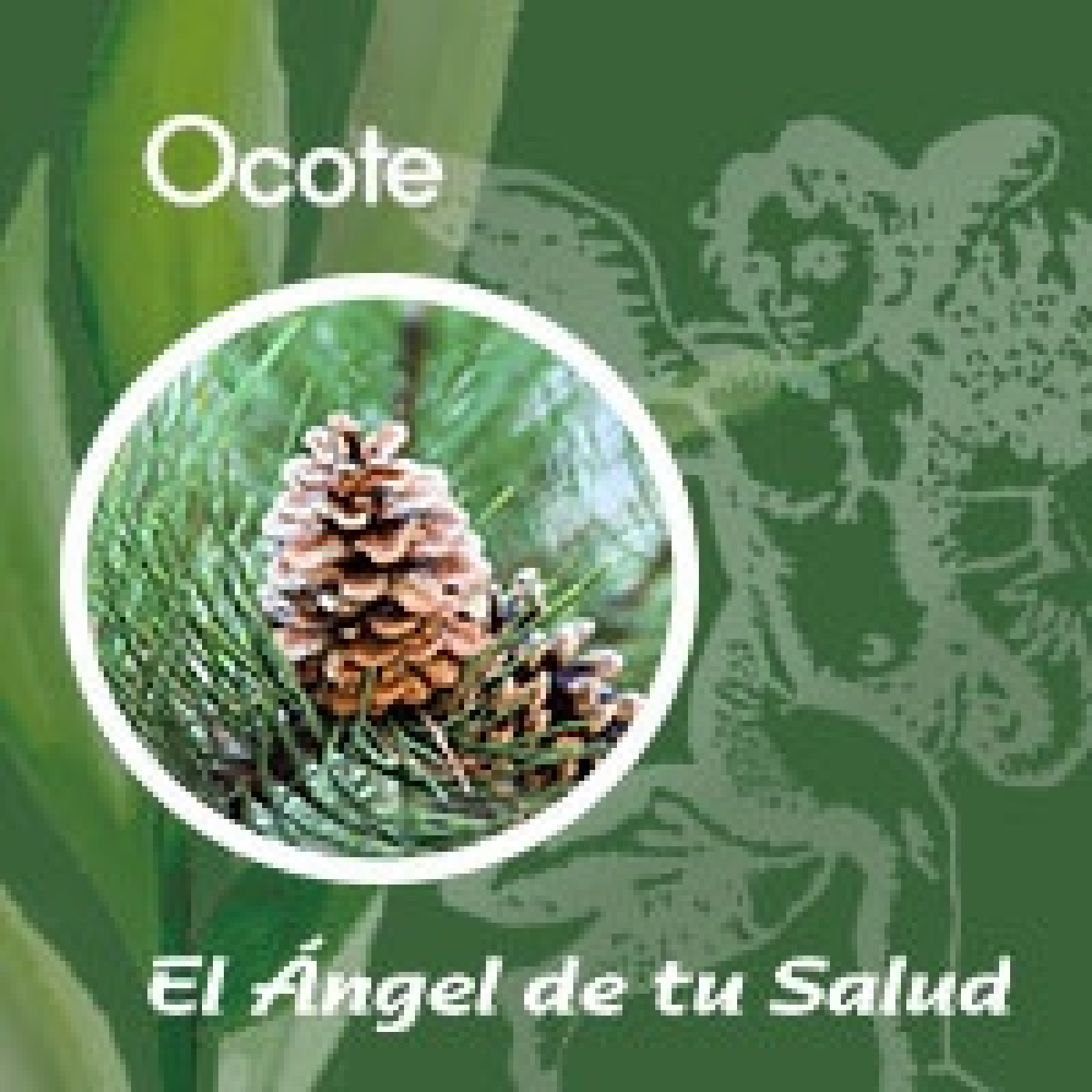 El Ángel de tu Salud - Ocote** episode artwork