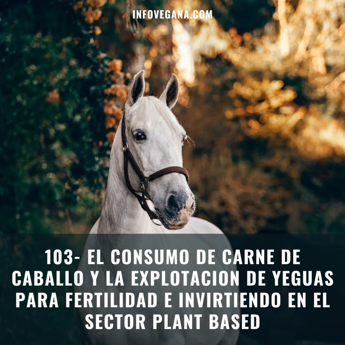 Infovegana, podcast de veganismo y sostenibilidad