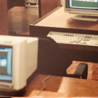 embed image