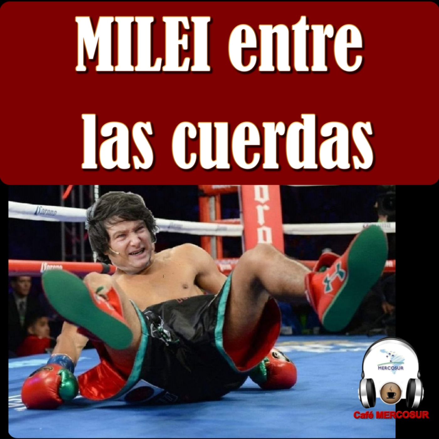 MILEI entre las cuerdas