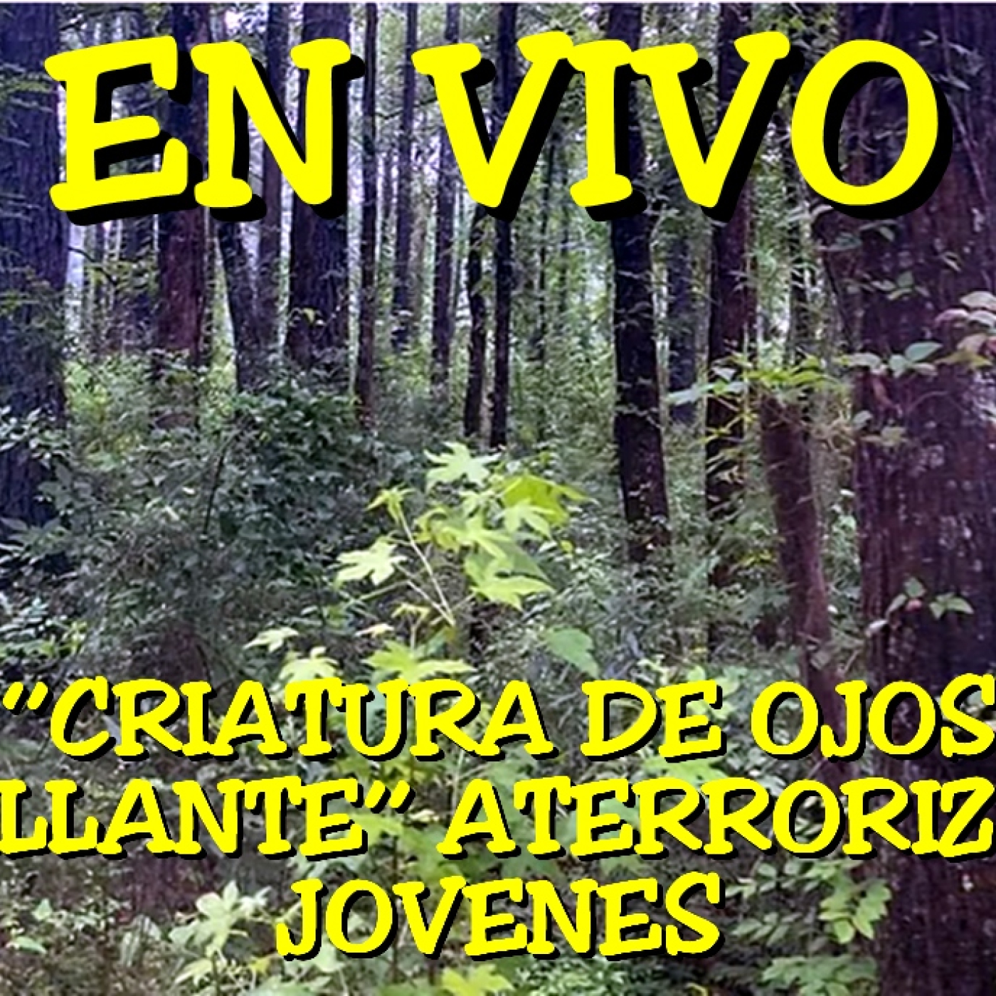 LOS DESVELADOS - 2024 - CRIATURA DE OJOS BRILLANTES_ ATERRORIZA A JOVENES