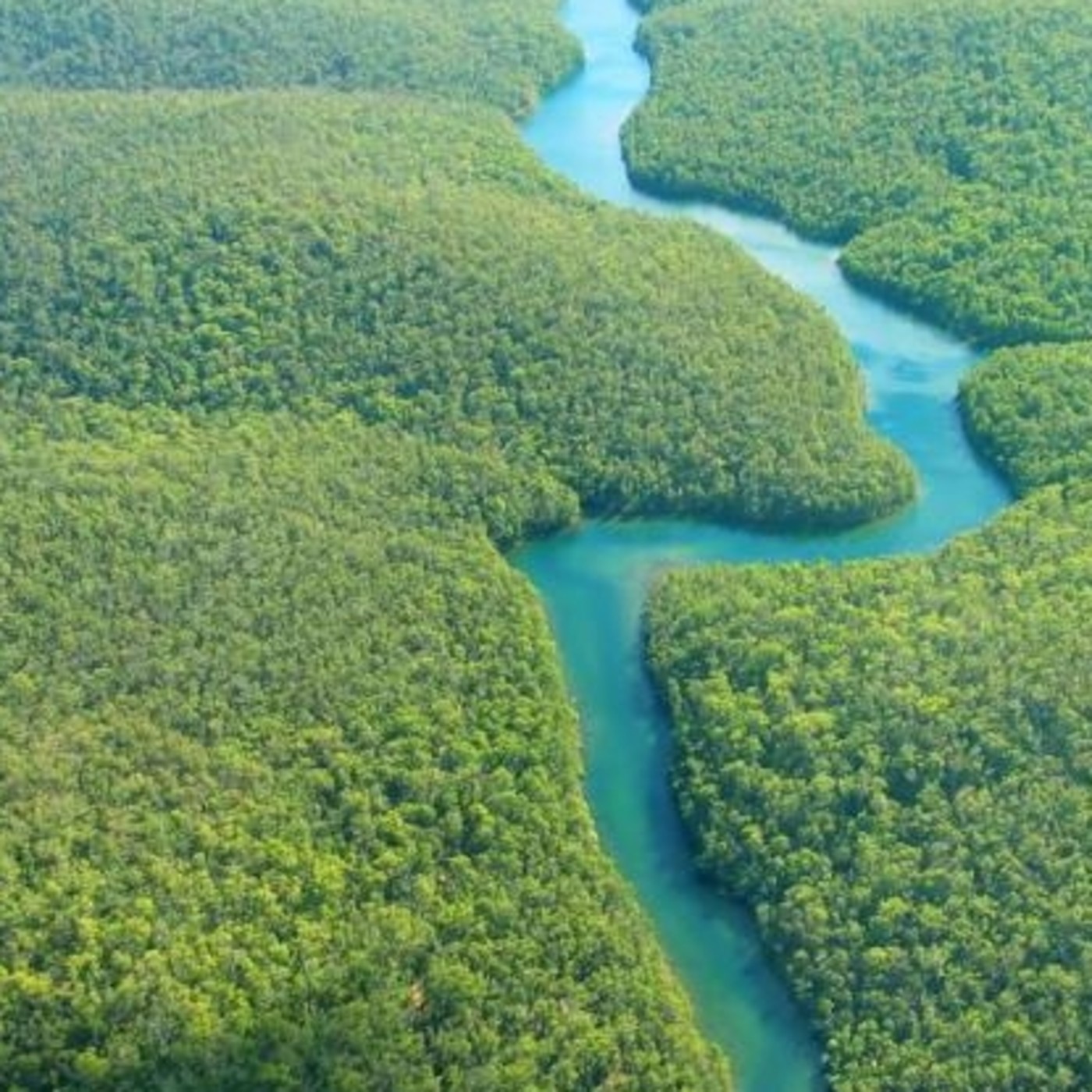 15 Curiosidades Sobre El Rio Amazonas Swedishnomadcom Images