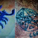 image collage3