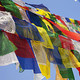 image collage1