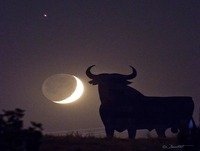 Adolfo LM - El toro y la luna