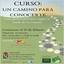 Curso Luz
