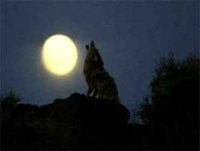 El hombre lobo de Allariz