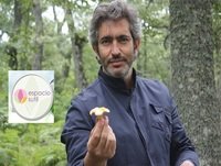 2015-09-N01 - Grupo de Autoterapia ONLINE - Los obstáculos a la paz - Sesión práctica - 22-23