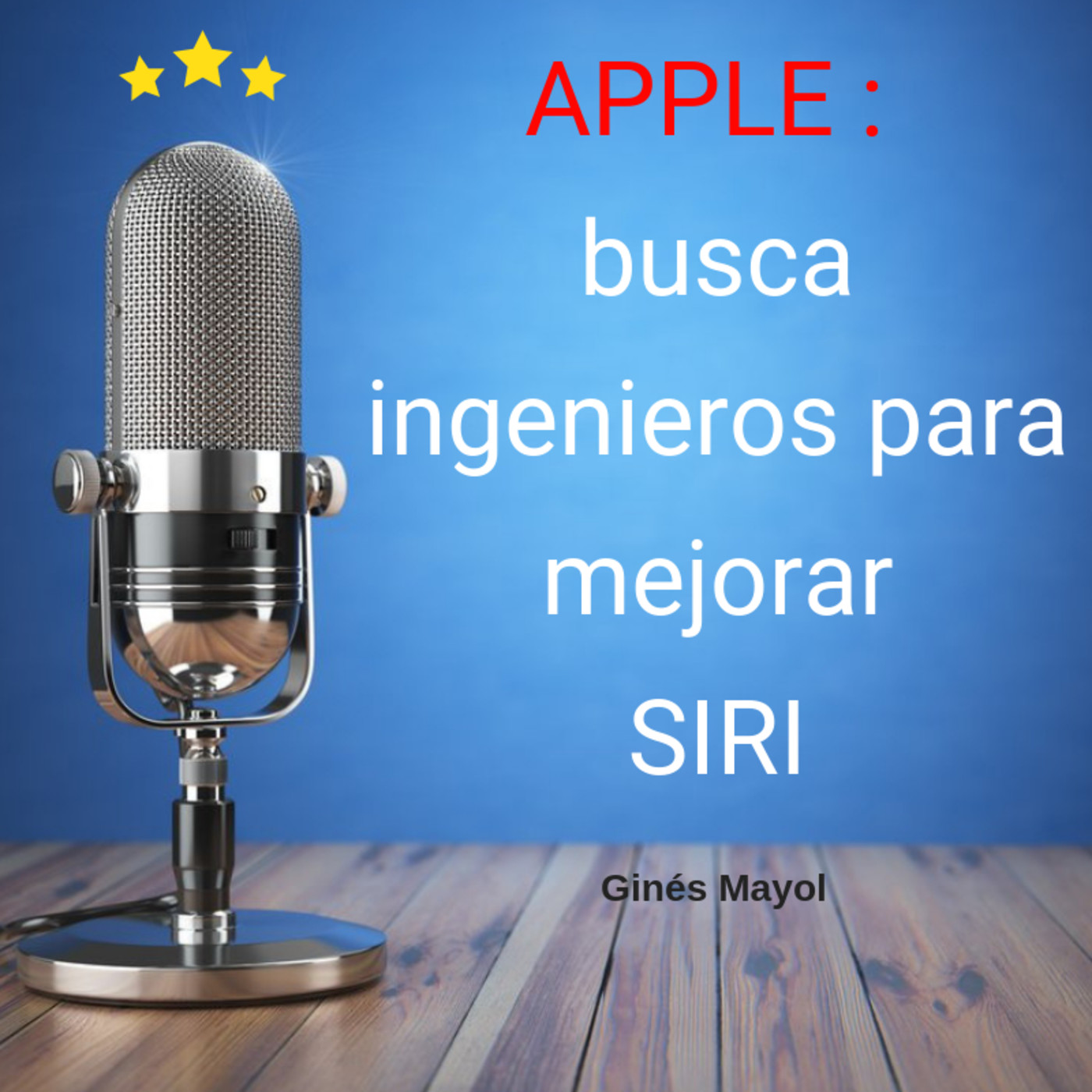 Gines Mayol - SEO