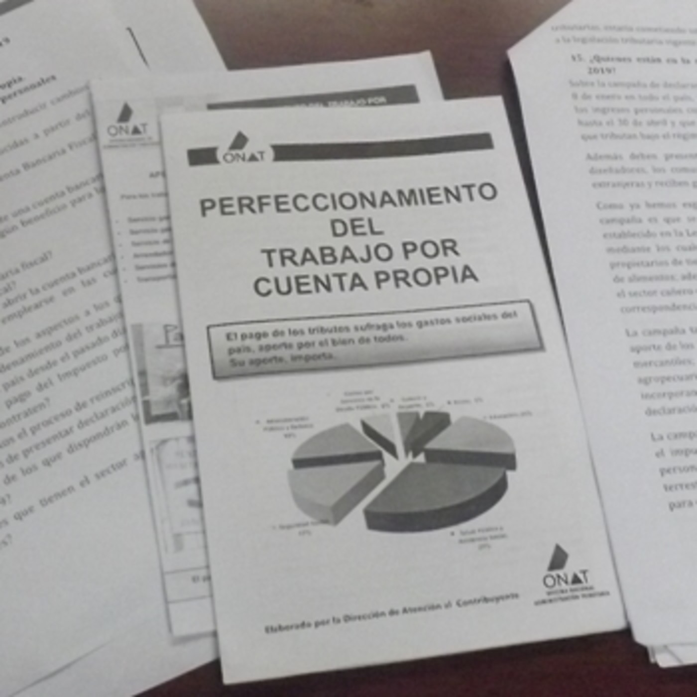 Programa Rumbos: El pago de los contribuyentes a la ONAT episode artwork
