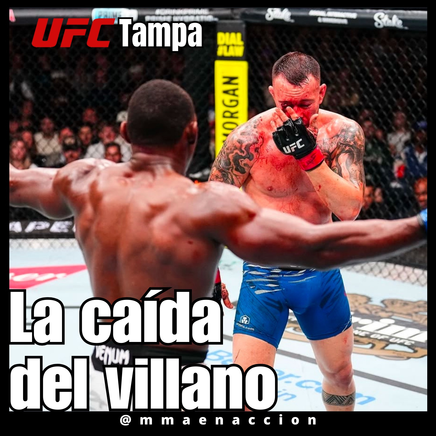 MMA en acción