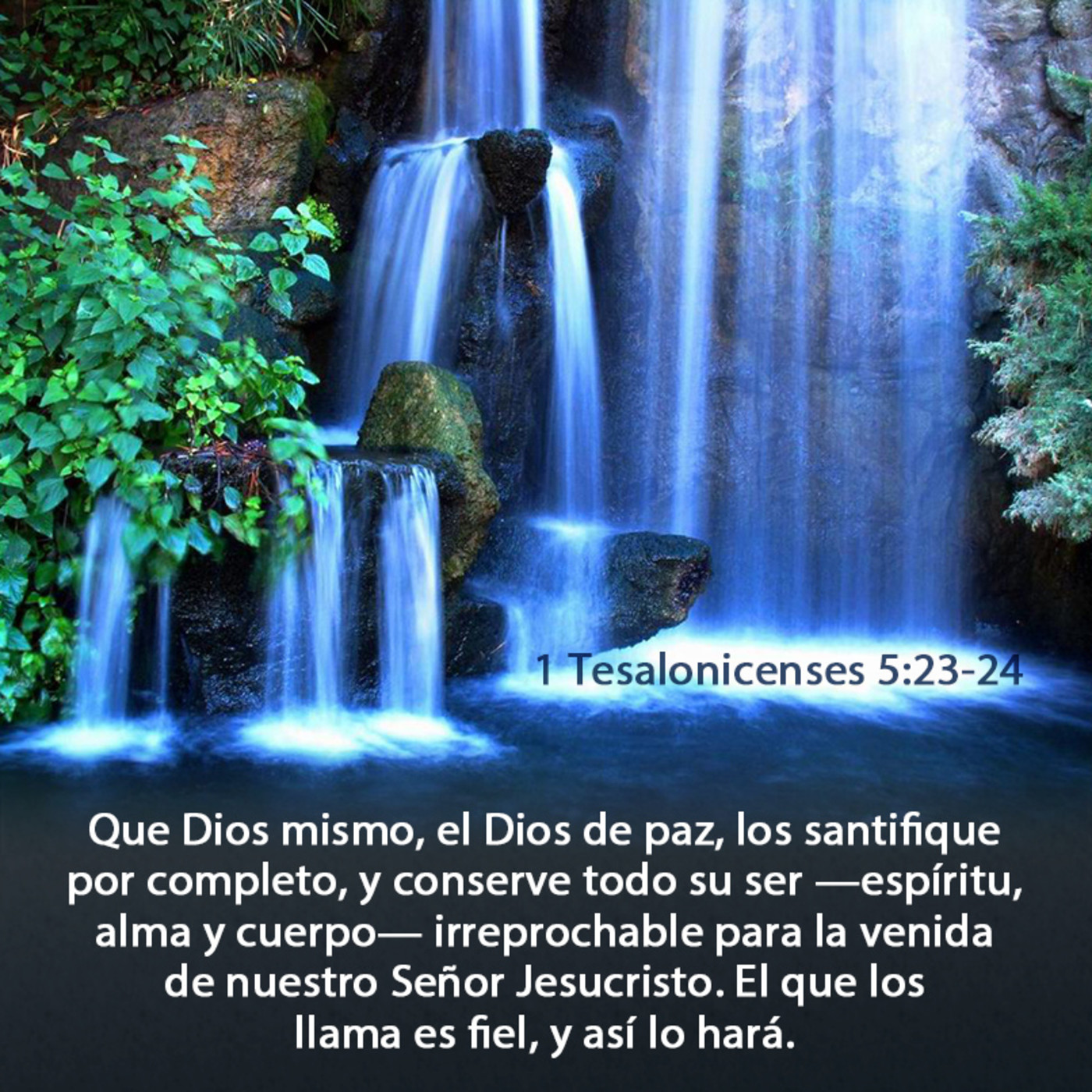 Las Misericordias de Dios