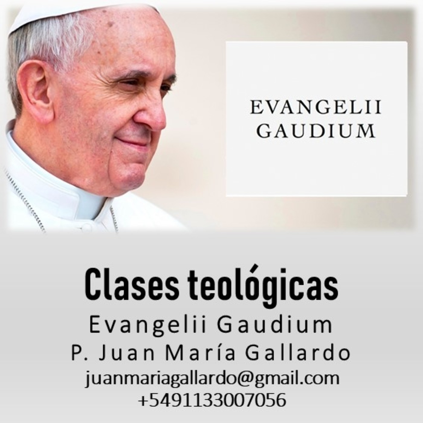 Juan María Gallardo 11: Evangelii Gaudium del Pap
