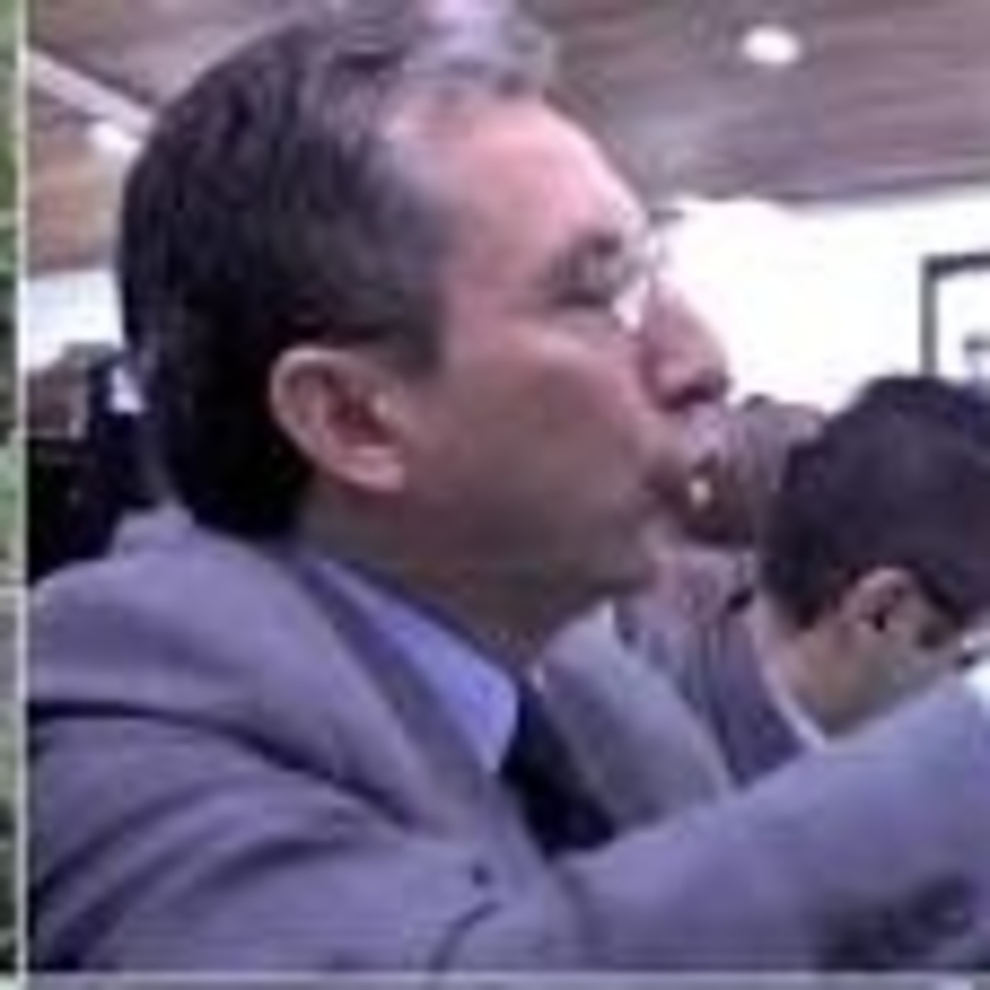 Partido MIRA