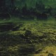 El misterio de la Vida Bajo el Mar