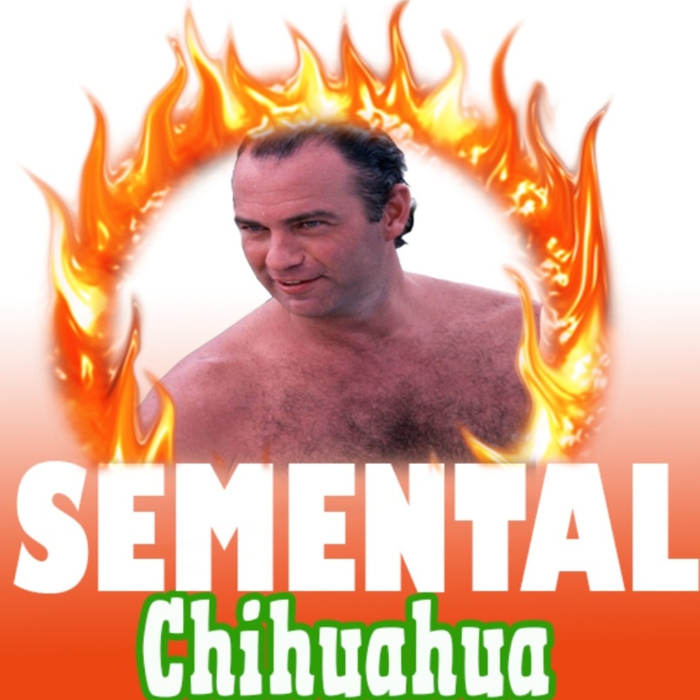 Semental Chihuahua