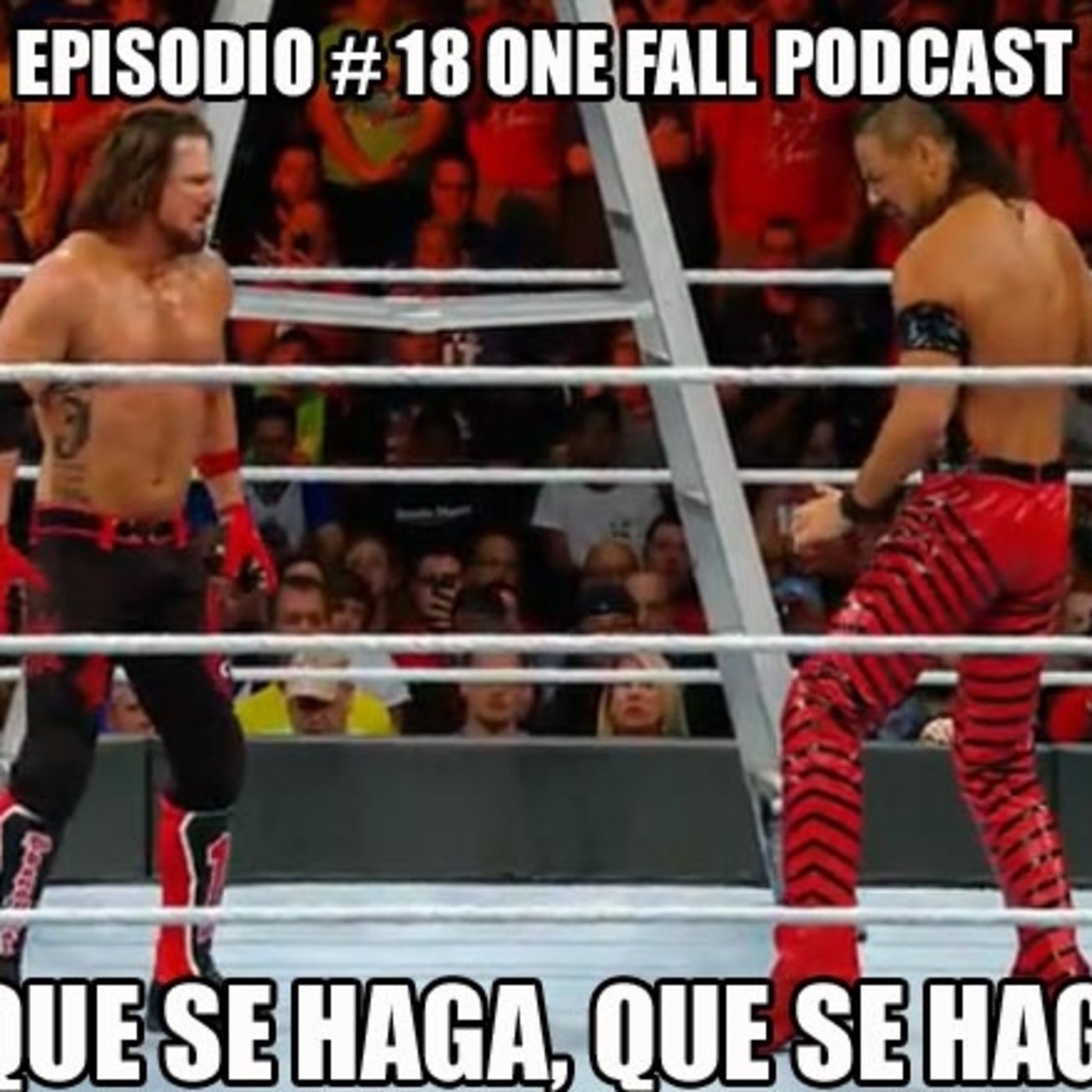One Fall podcast # 18 - Reseña WWE Money in the Bank episode artwork