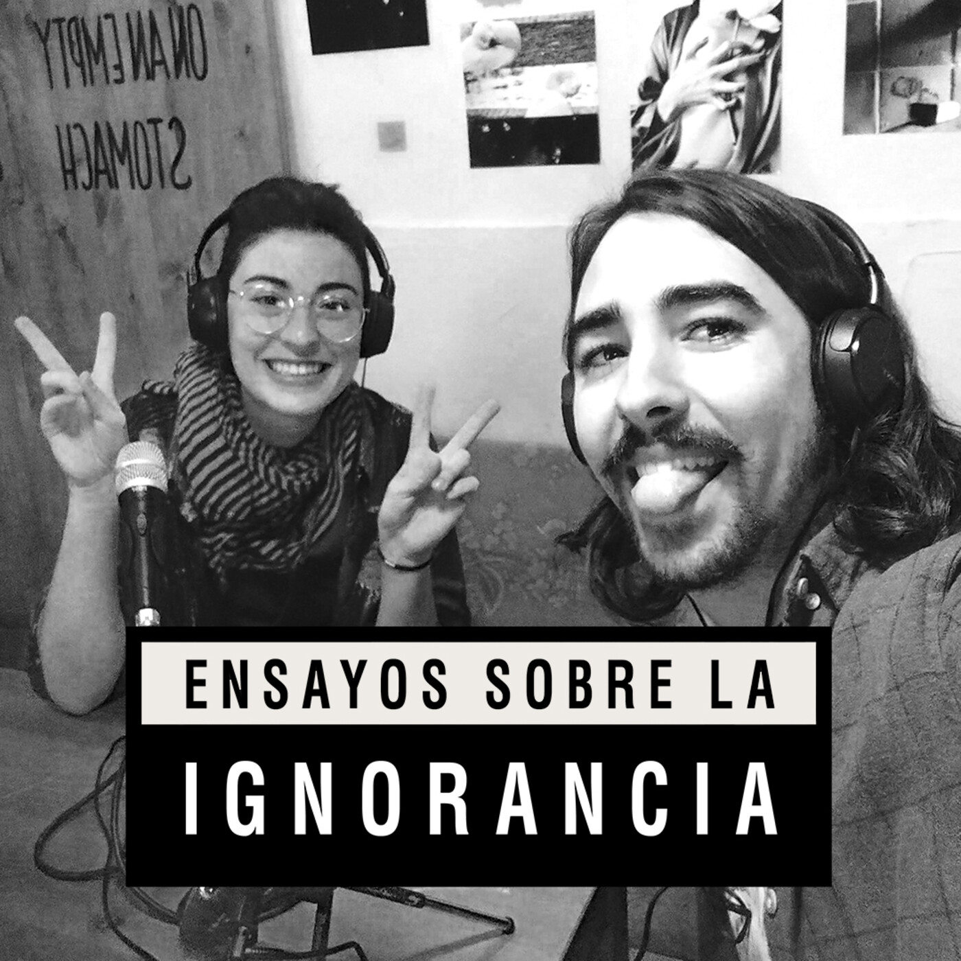 Ensayos sobre la ignorancia