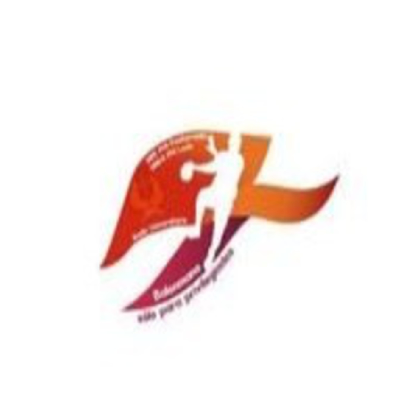 Balonmano Solo Para Privilegiados