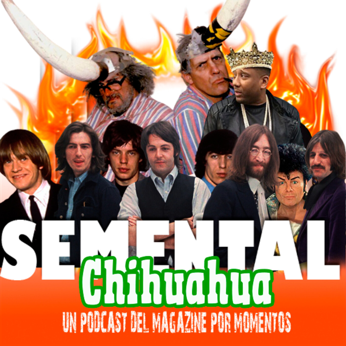 Semental Chihuahua