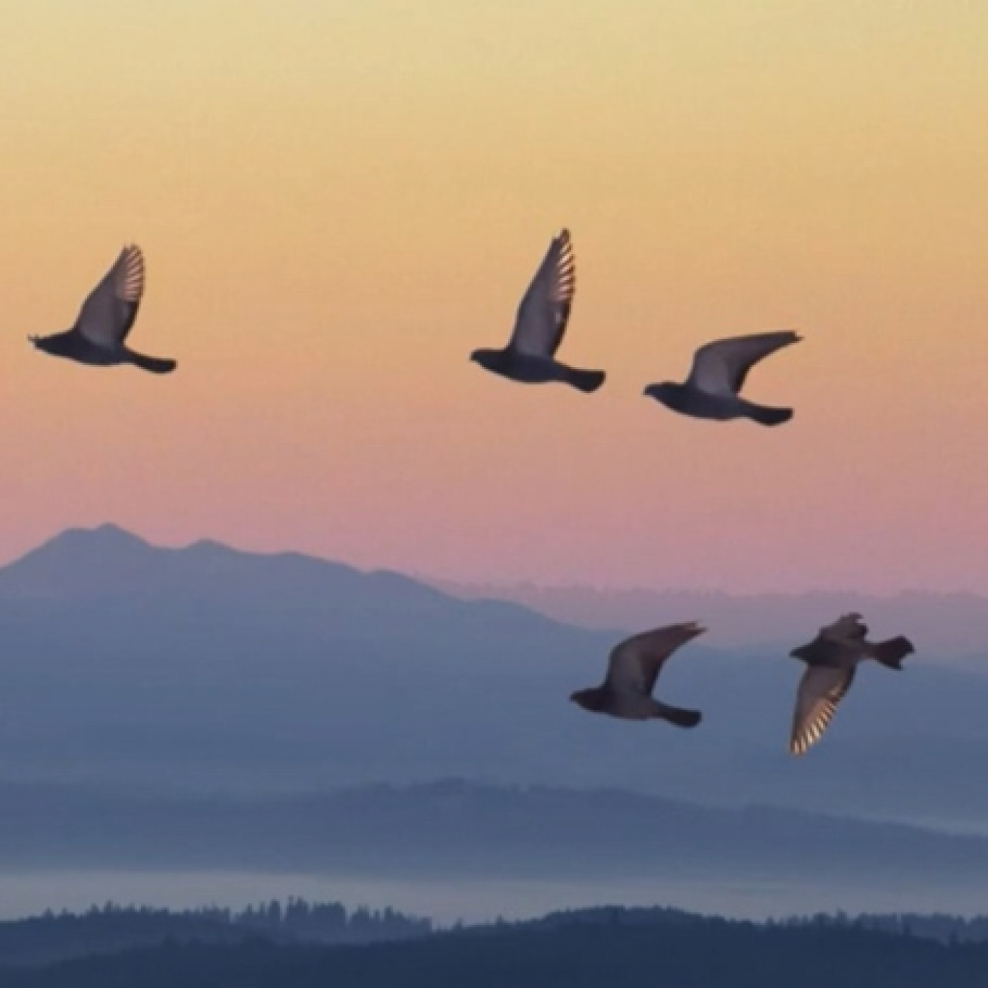 ¿Es ahora buen momento para invertir en un fondo monetario? | Actualidad a fondo