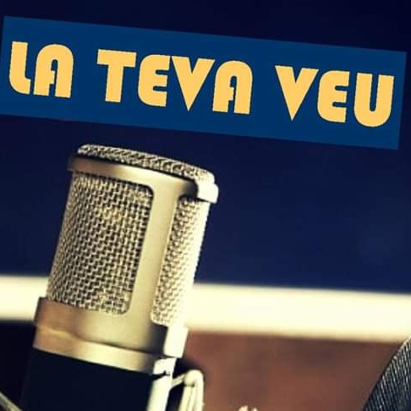 La teva veu