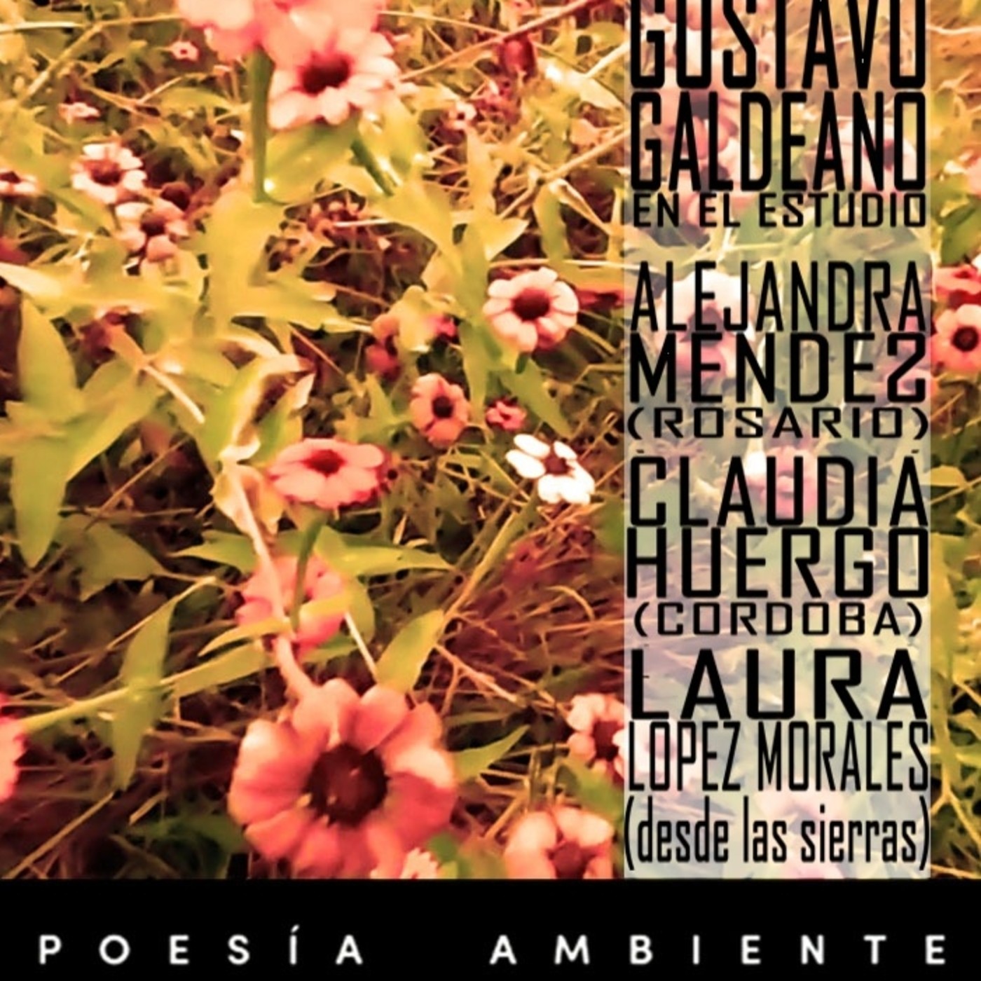 Poesía Ambiente