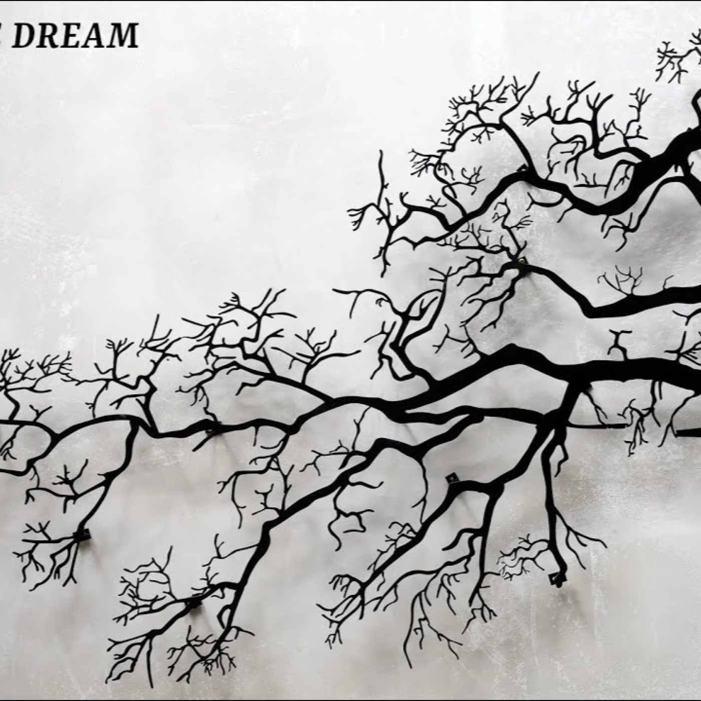 982 - Tangerine Dream - Barcelona 1980 episode artwork