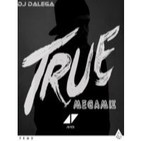 Dj Dalega - Avicii - True Megamix