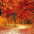 CONSEJOS DE SALUD: El otoño