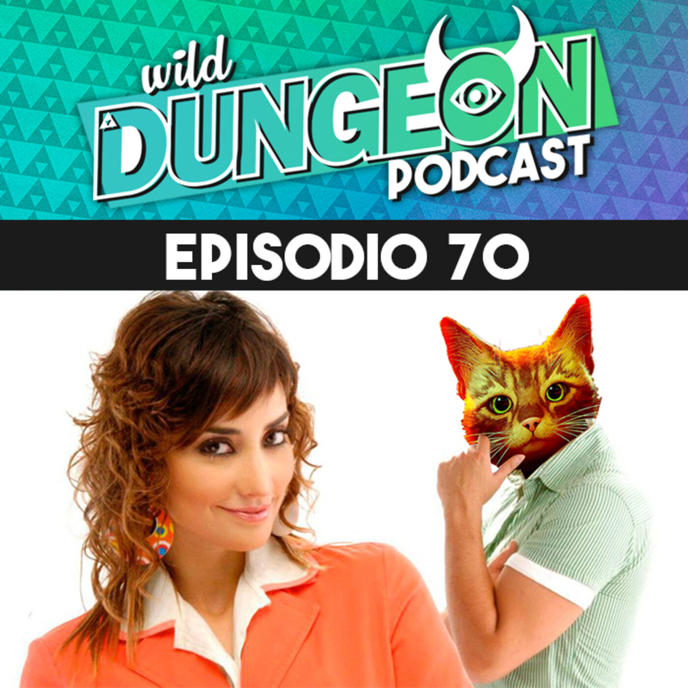 Wild Dungeon Podcast