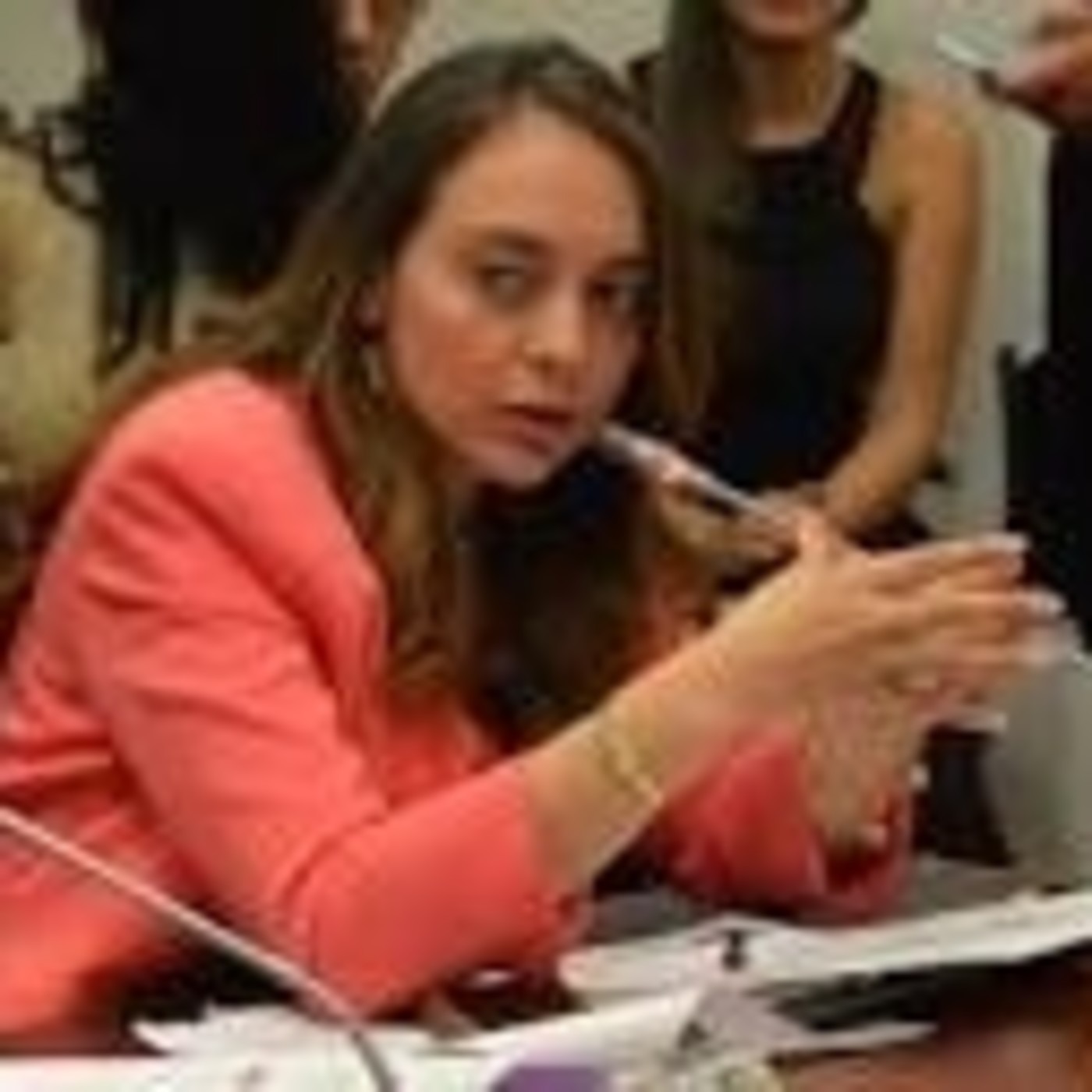 Partido MIRA