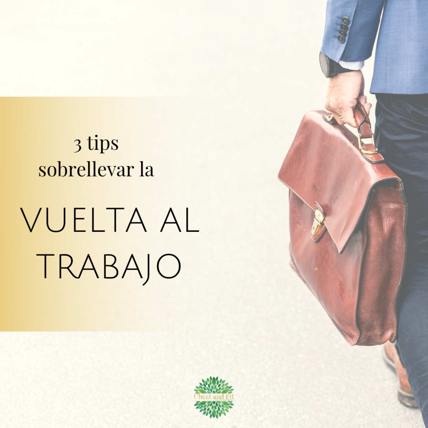 Cambia tu Chip CheatandFit
