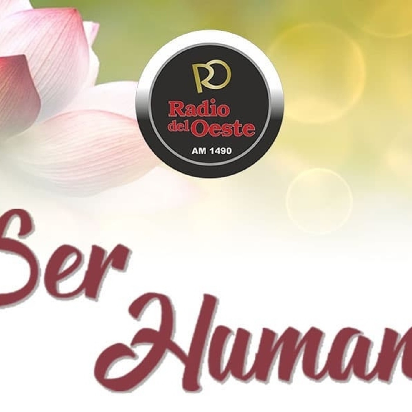 escueladereikiamanecer