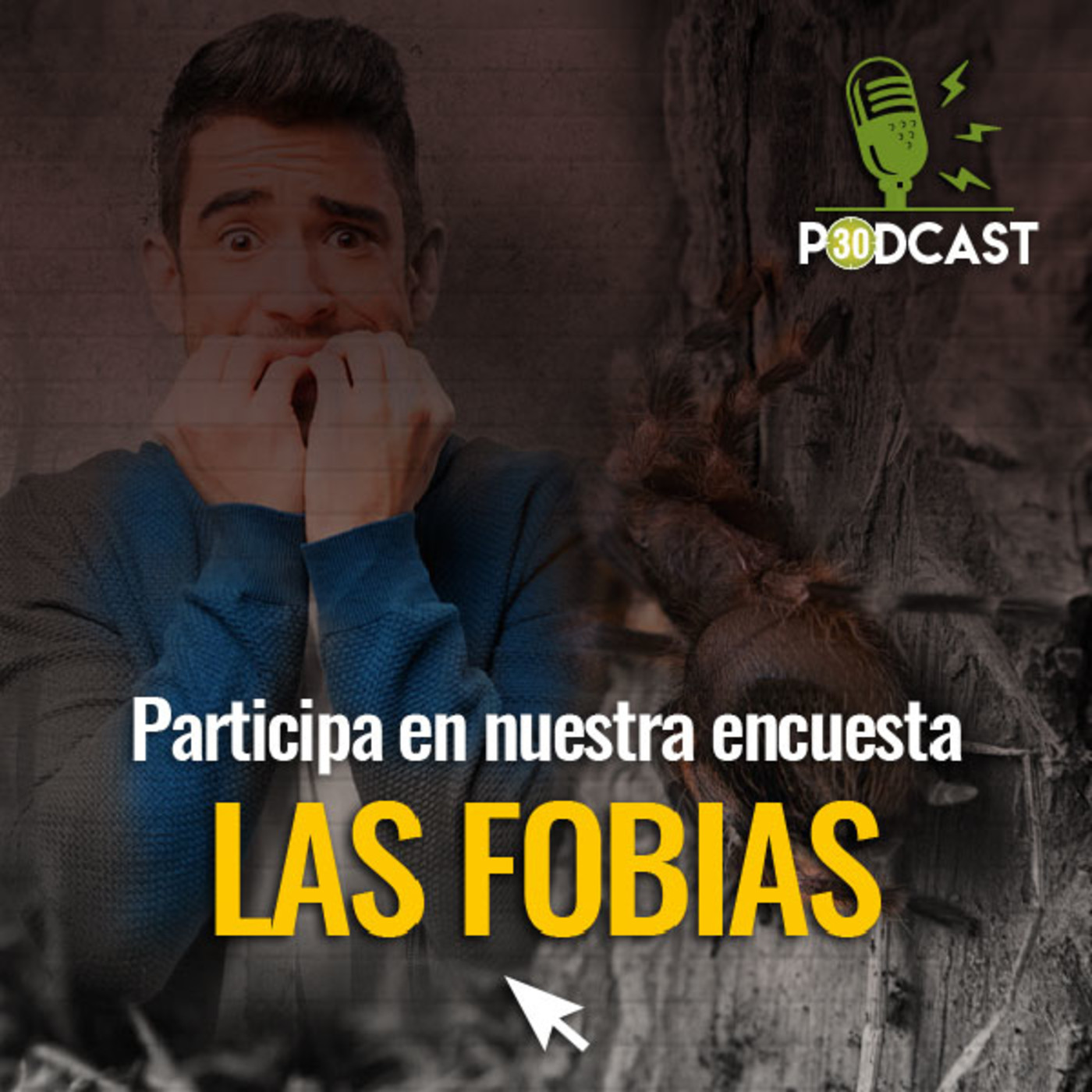 ENCUESTAS DE A PIE
