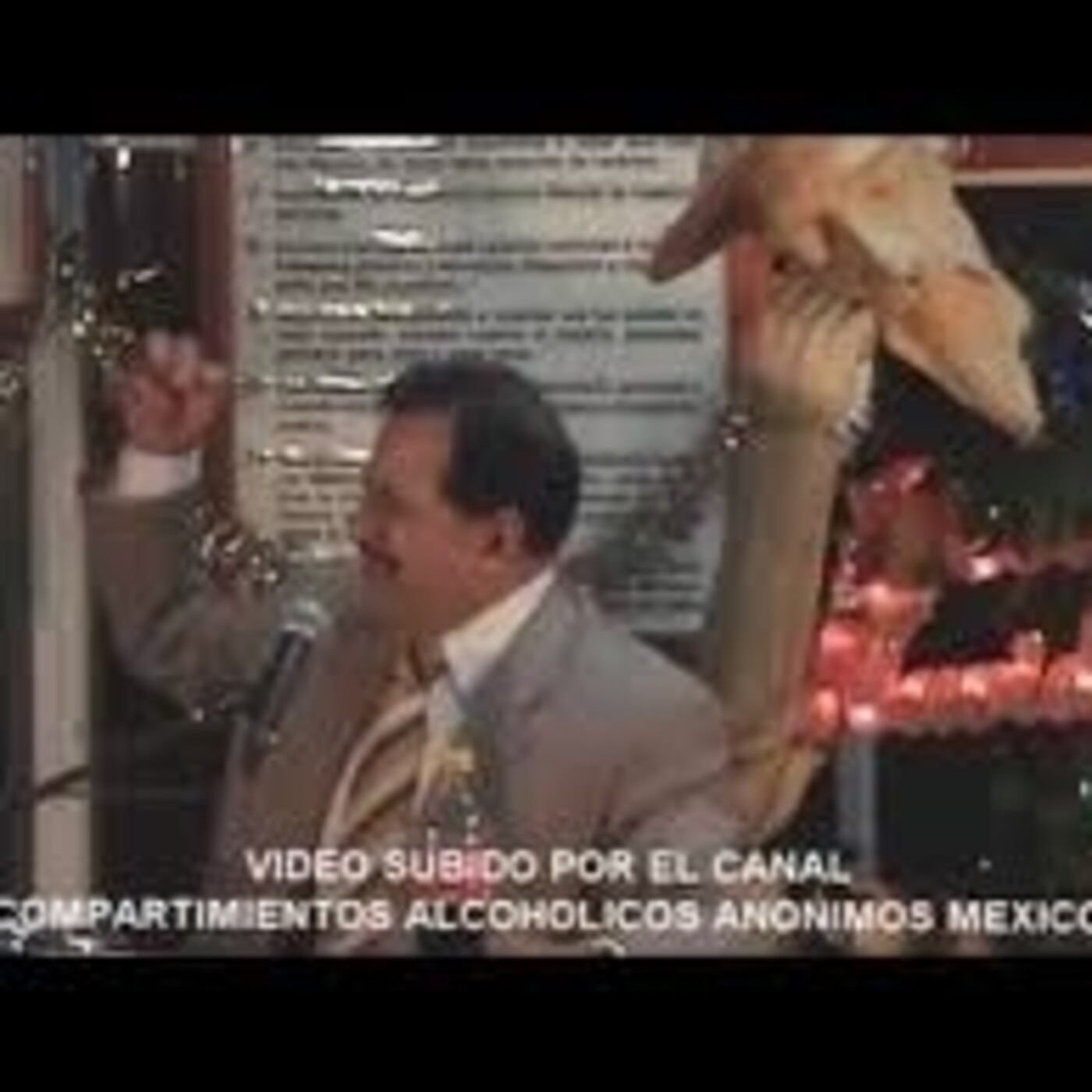 ALCOHÓLICOS CON PROPÓSITO