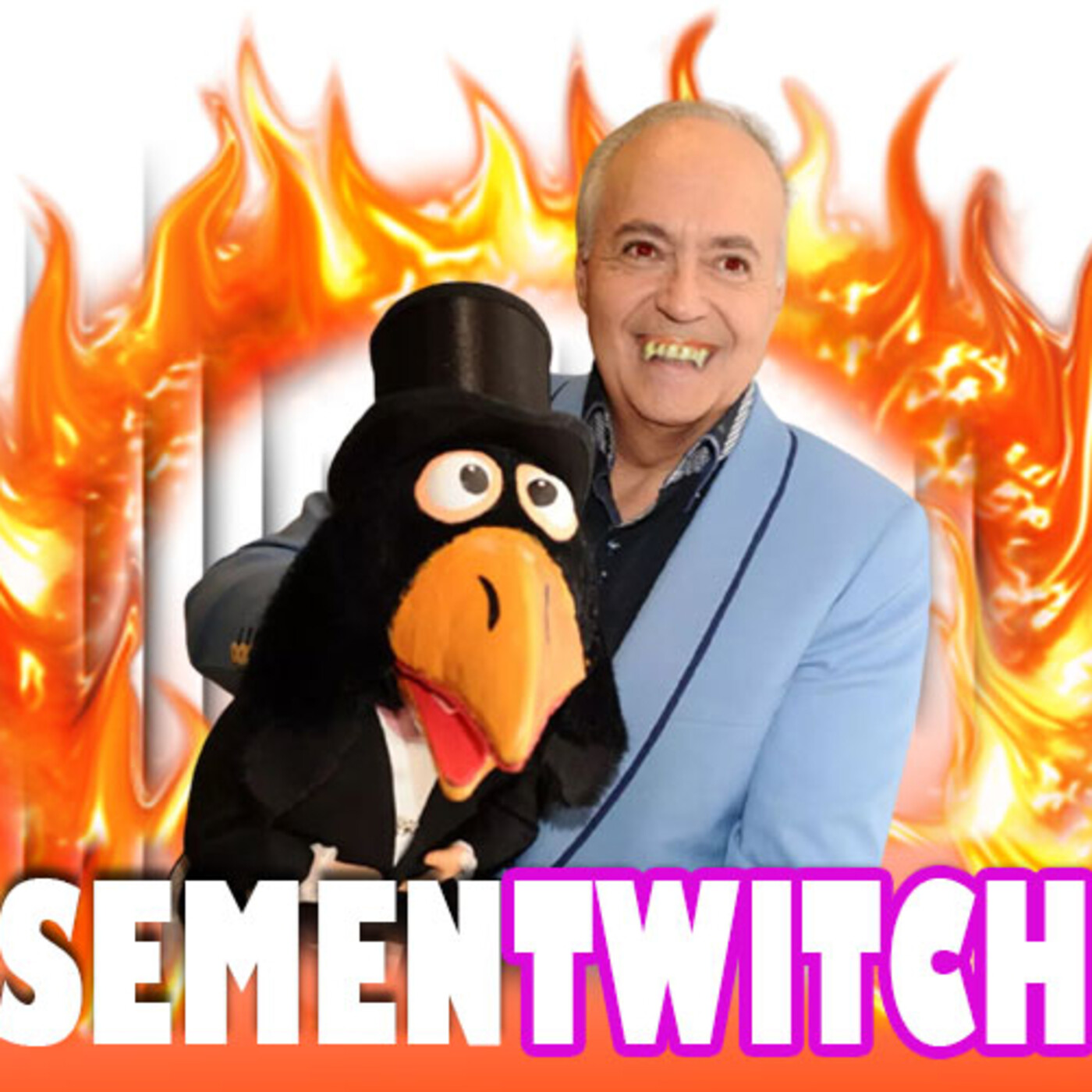 Semental Chihuahua