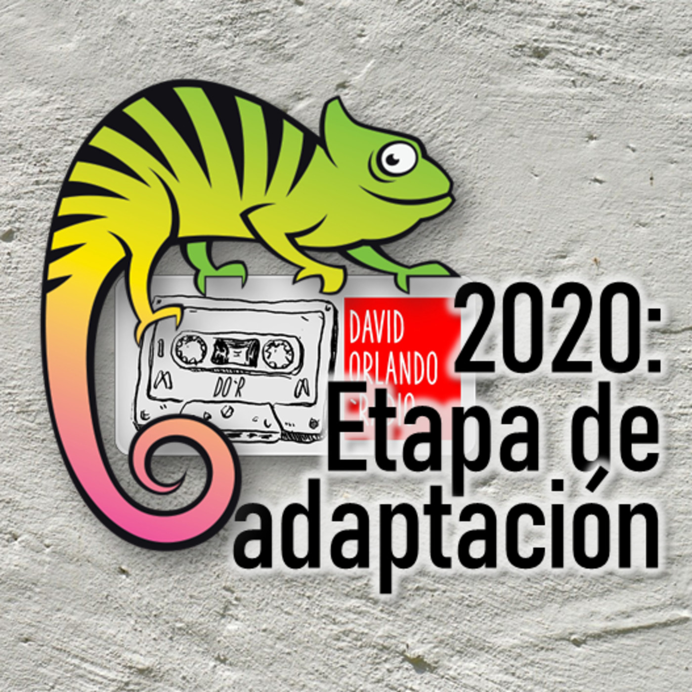 05. 2020: Etapa de adaptación