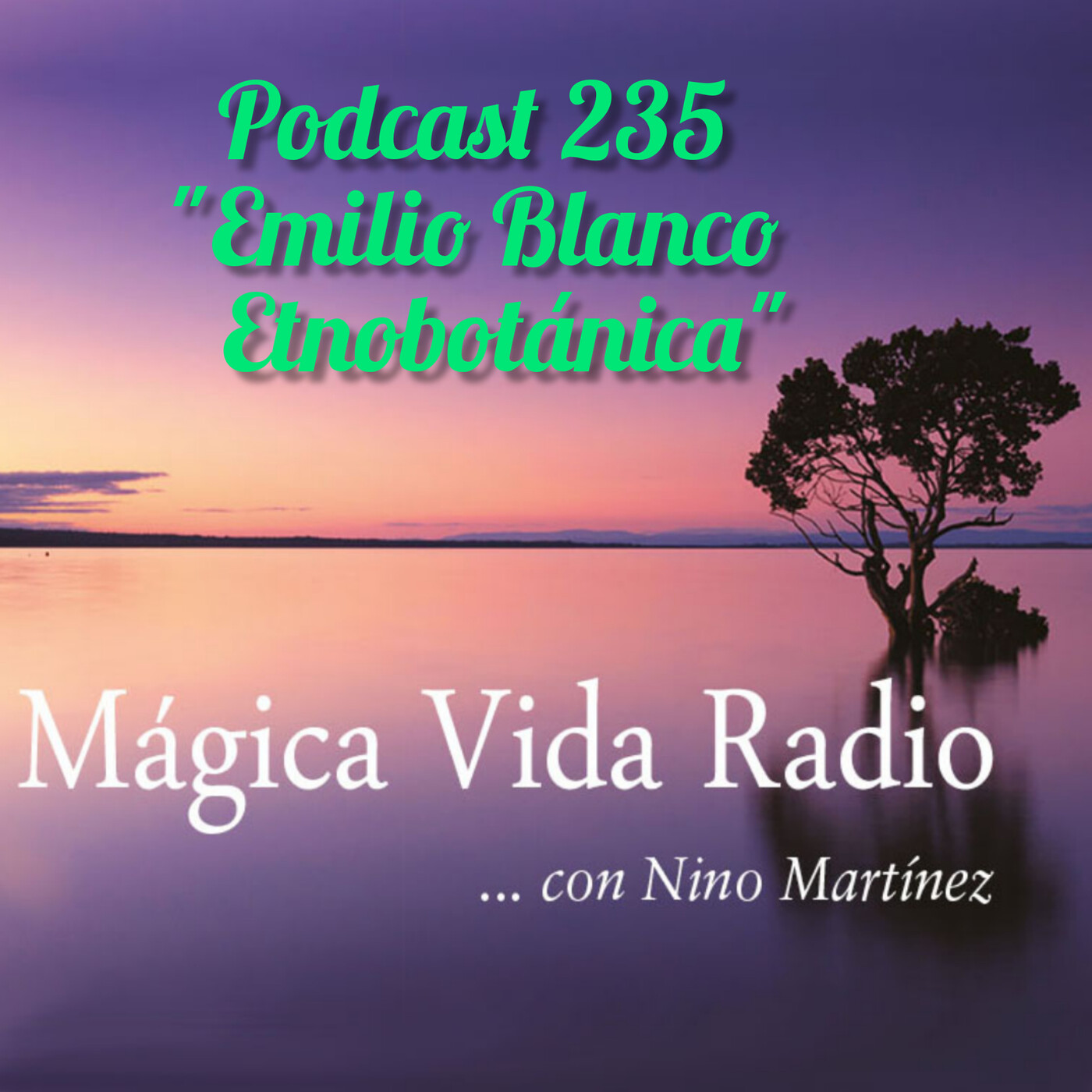 Mágica Vida Radio