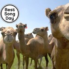 El Podcast de Best Song Day- T.2 Ep. 4: Lo de siempre pero con tuaregs