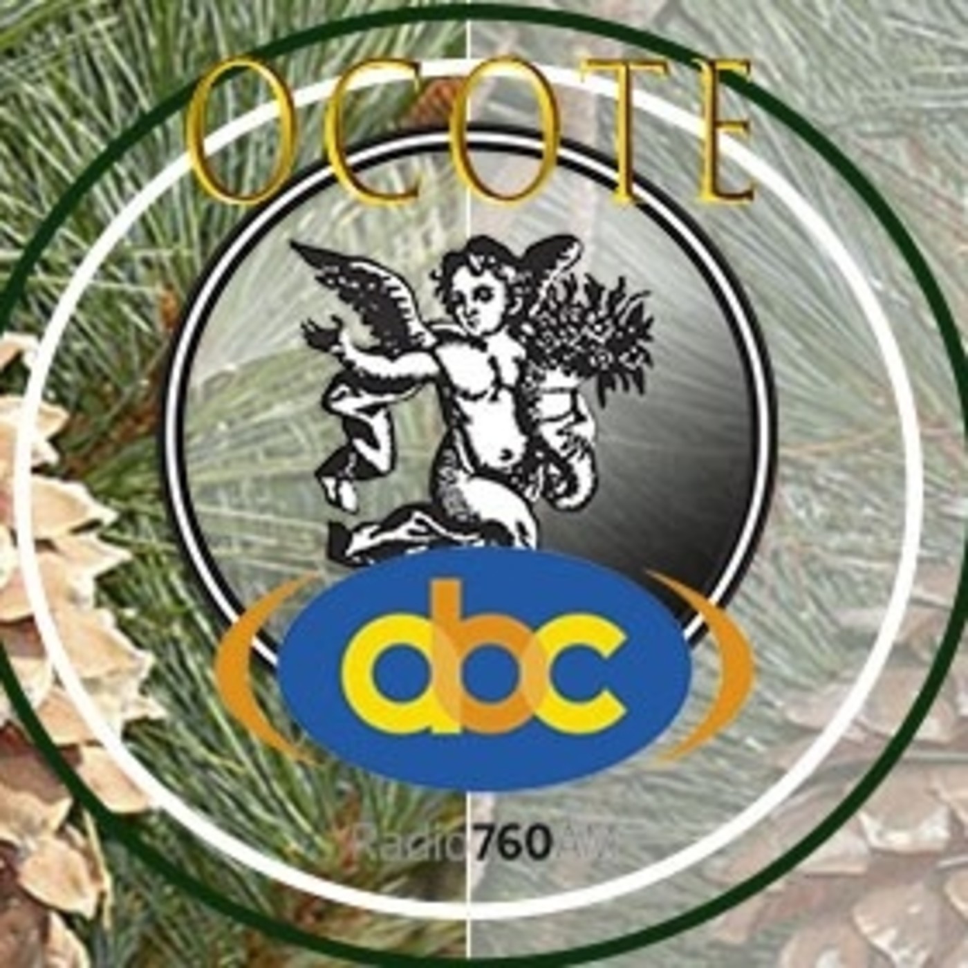 El Ángel de tu Salud - OCOTE FLOR