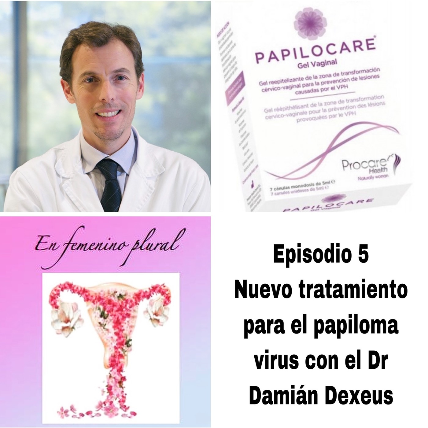 EN FEMENINO PLURAL