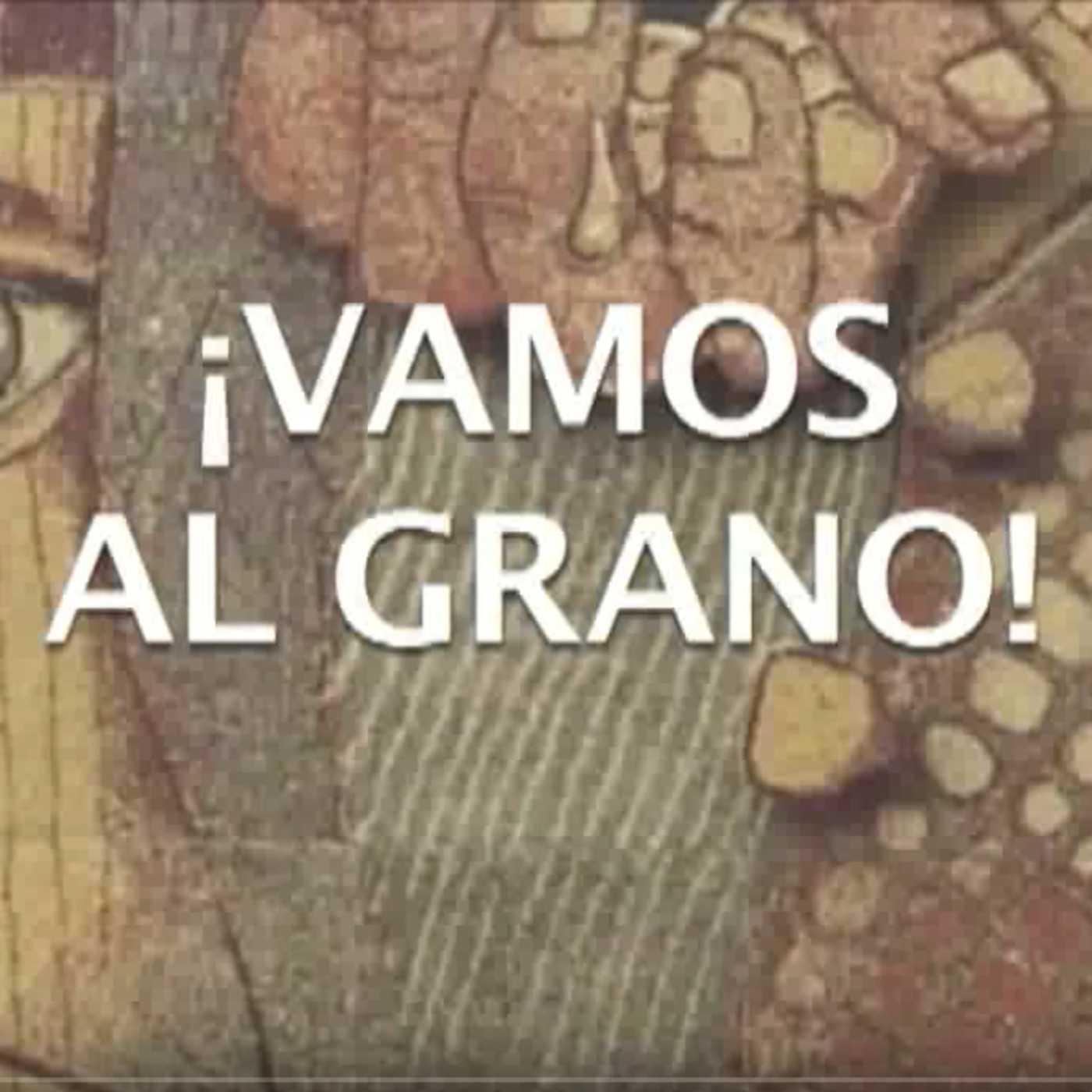 Vamos al grano. Cuidado con el maíz transgénico.
