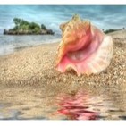 La Caracola