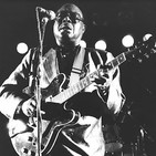 Especial jimmy rogers 237